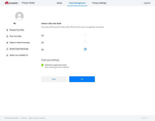 Request Your Data file size screen